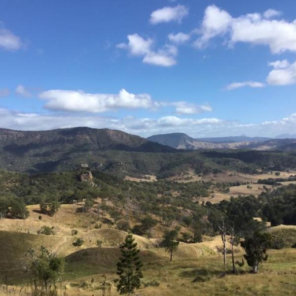 Bushfire & Ecology Assessments for Cabarlah Subdivision