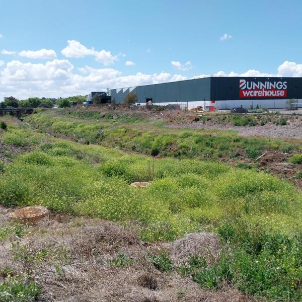 Gowrie Creek Weed Control