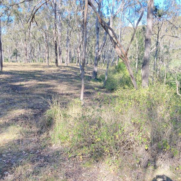 New Home Bushfire Attack Level (BAL) Assessment, Mount Rascal