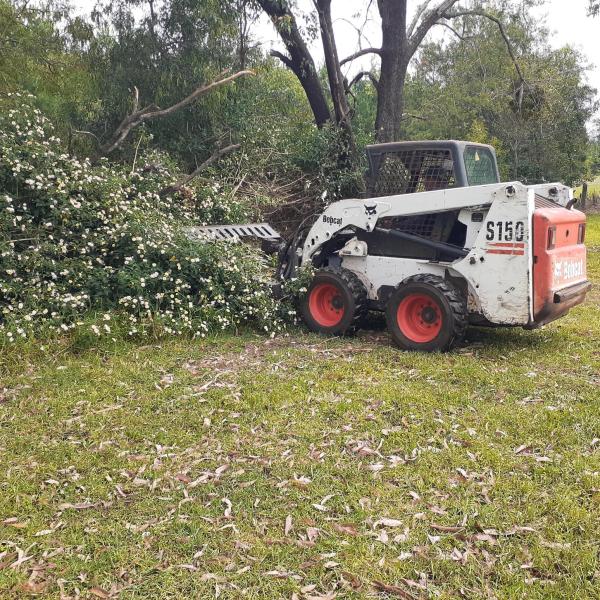 Presale Property Clean Up & Weed Control